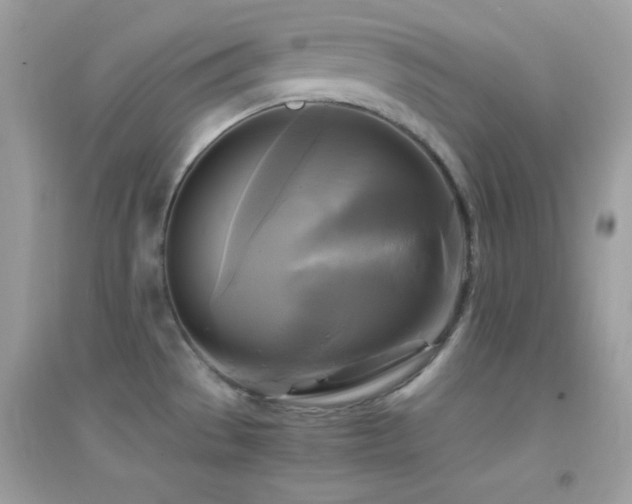 X0000095121529200712071229