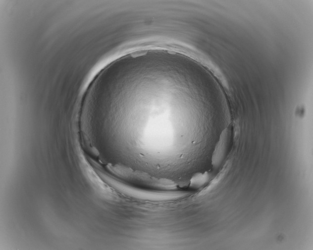 X0000095121530200712071229