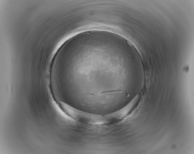 X0000095121531200712071229