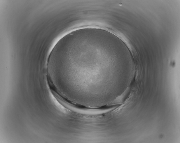 X0000095121532200712071229