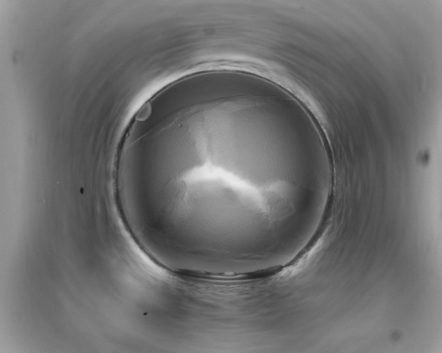 X0000095121533200712071229