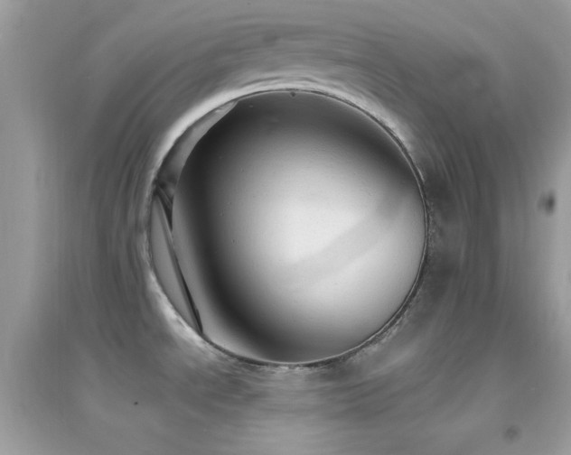 X0000095121534200712071229