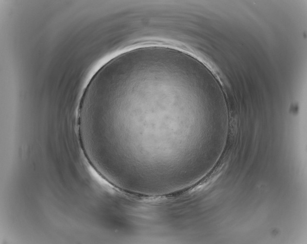 X0000095121535200712071229