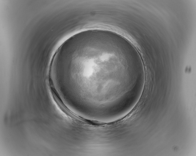X0000095121536200712071229