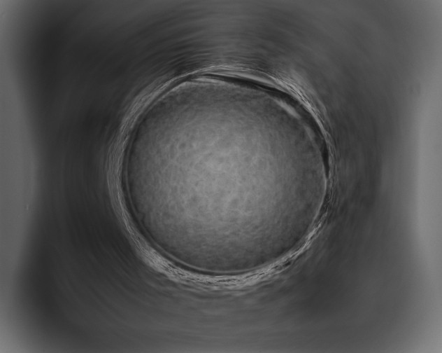 X0000095120001200712141145