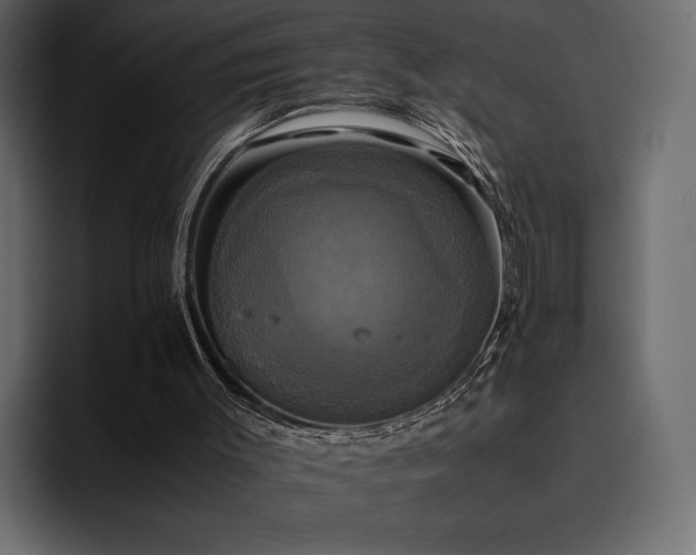 X0000095120003200712141145