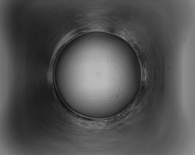 X0000095120004200712141145