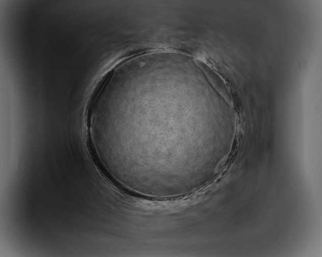 X0000095120005200712141145