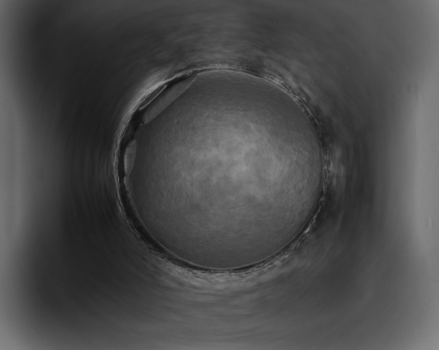 X0000095120006200712141145