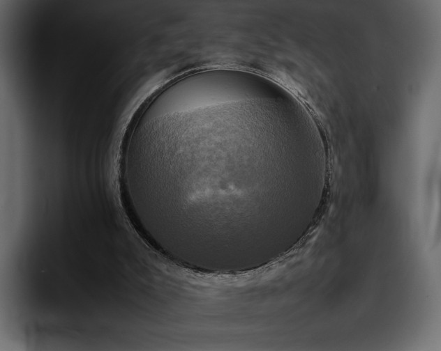 X0000095120007200712141145