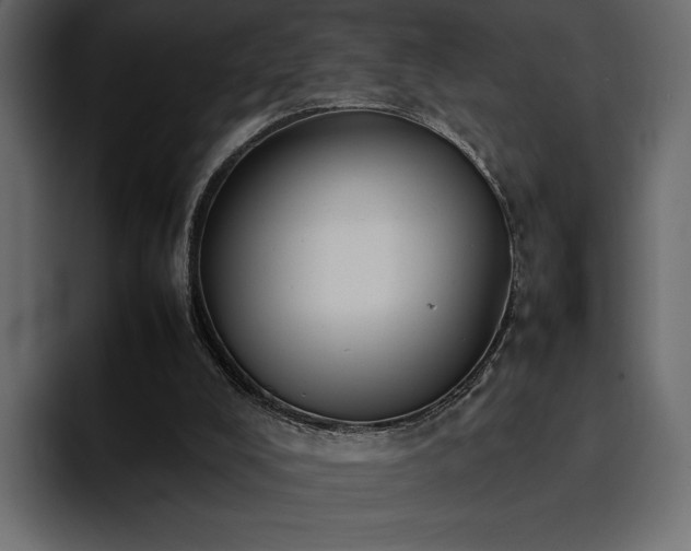 X0000095120008200712141145