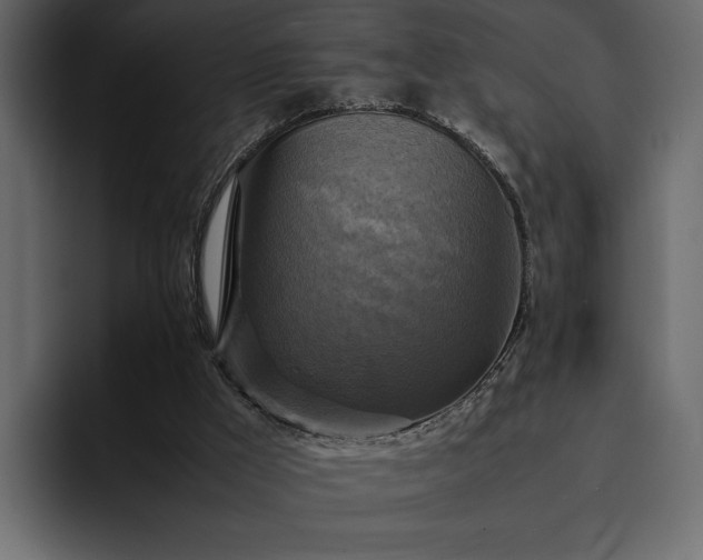 X0000095120009200712141145