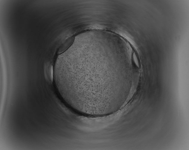 X0000095120013200712141145