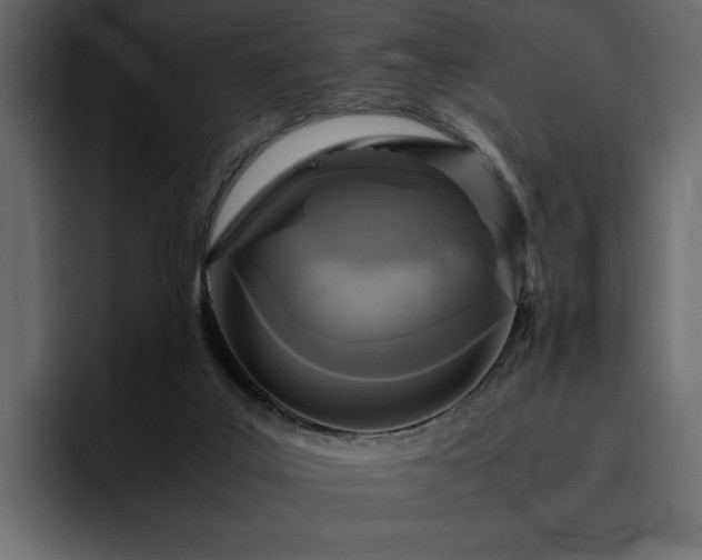 X0000095120019200712141145