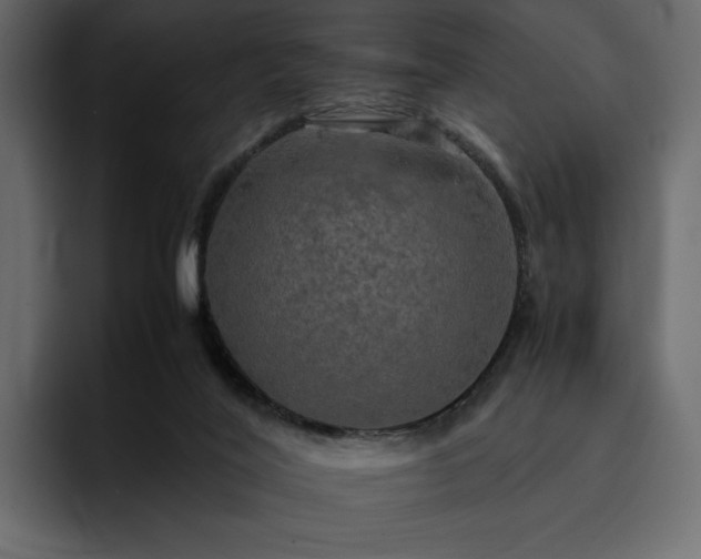 X0000095120020200712141145