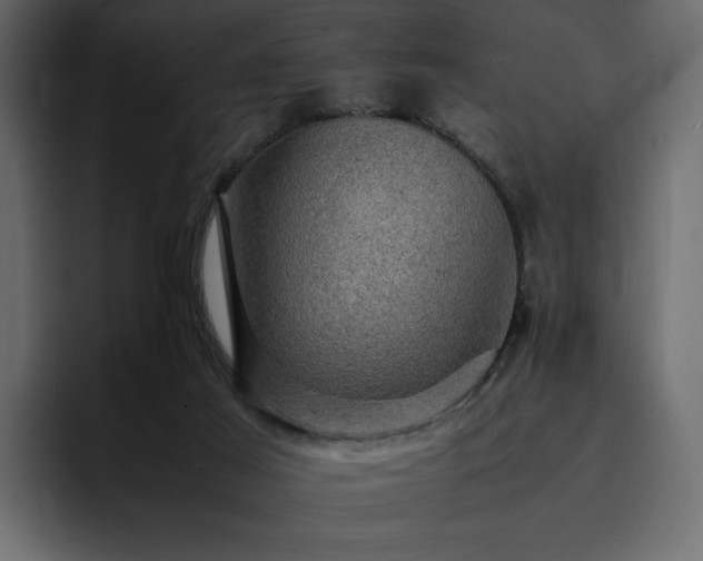 X0000095120021200712141145