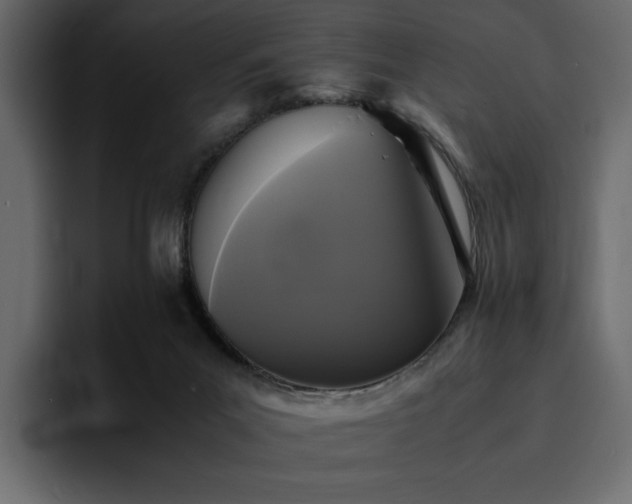 X0000095120023200712141145