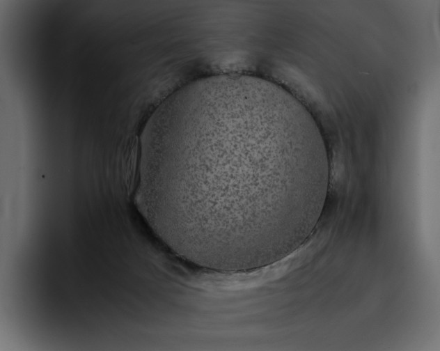 X0000095120025200712141145