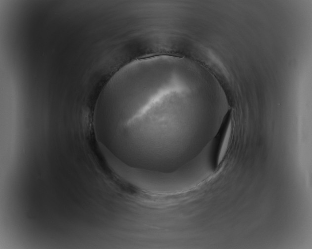 X0000095120029200712141145