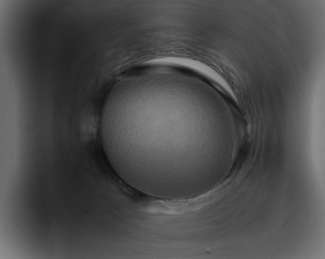 X0000095120033200712141145