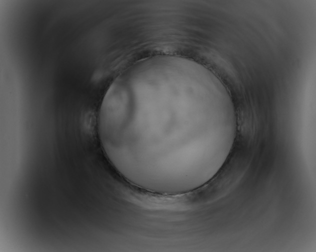 X0000095120036200712141145