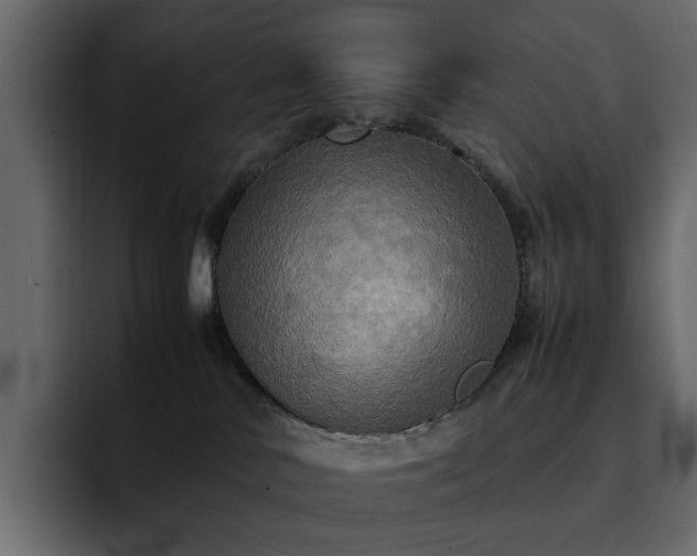 X0000095120042200712141145