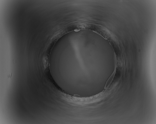 X0000095120043200712141145