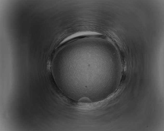 X0000095120045200712141145