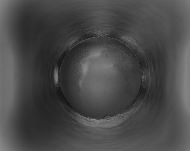 X0000095120046200712141145