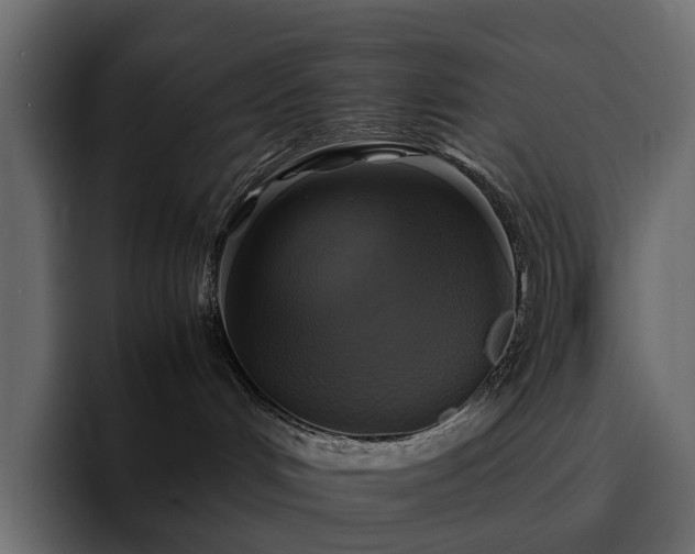 X0000095120048200712141145