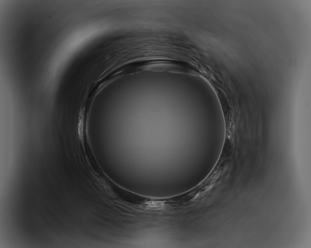 X0000095120052200712141144