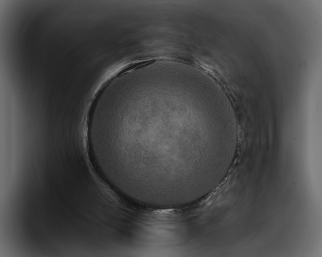 X0000095120054200712141144