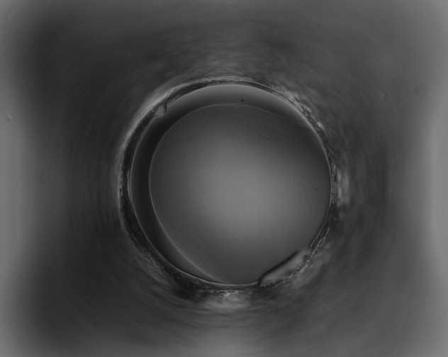 X0000095120056200712141144