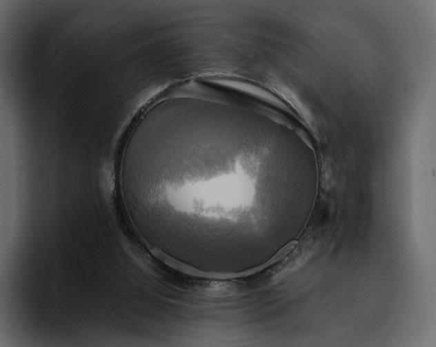 X0000095120060200712141144