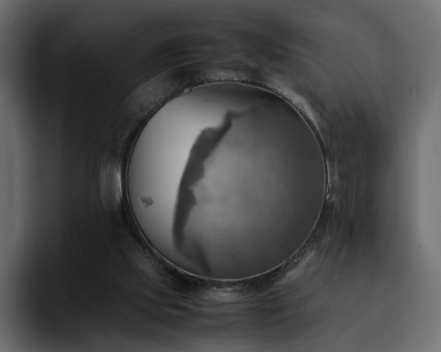 X0000095120061200712141144