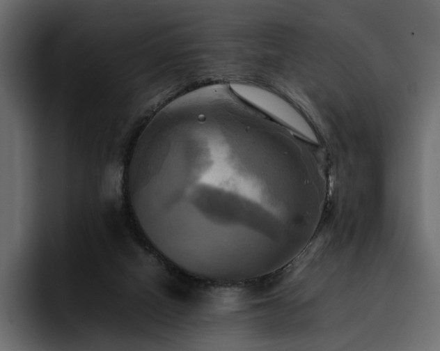 X0000095120066200712141144