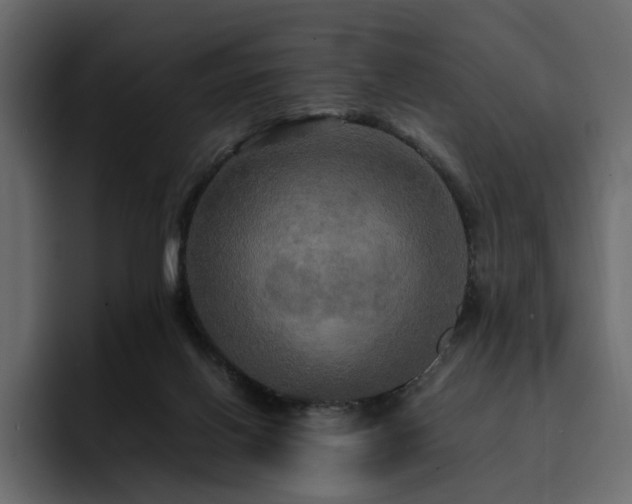 X0000095120070200712141144