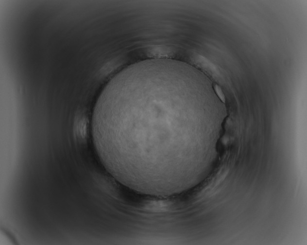 X0000095120071200712141144