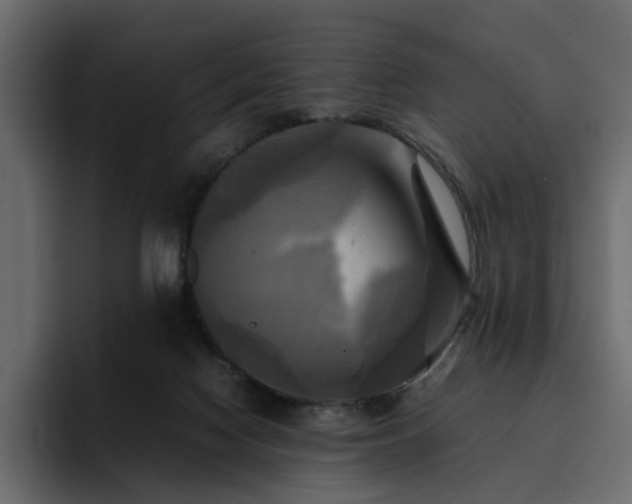 X0000095120074200712141144