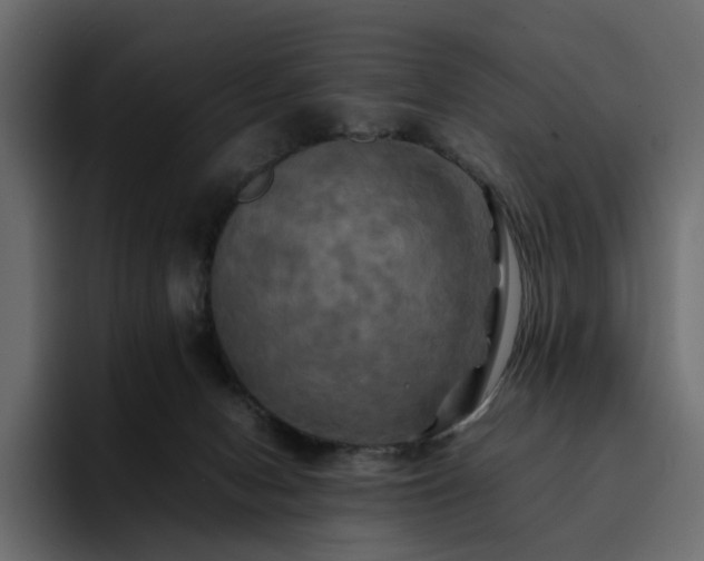 X0000095120078200712141145