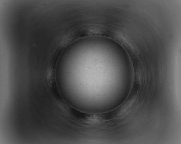 X0000095120079200712141145