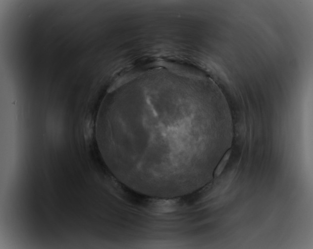 X0000095120081200712141145