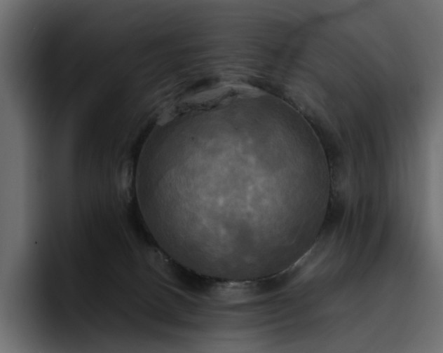 X0000095120082200712141145