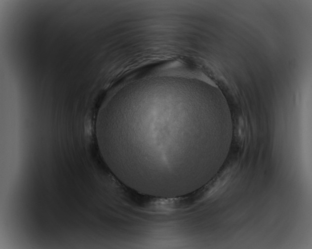 X0000095120084200712141145