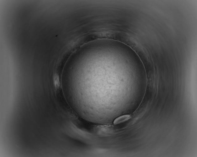 X0000095120089200712141145