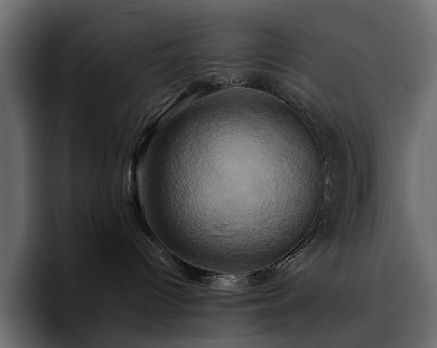 X0000095120096200712141145