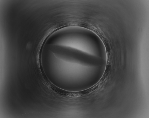 X0000095120099200712141144