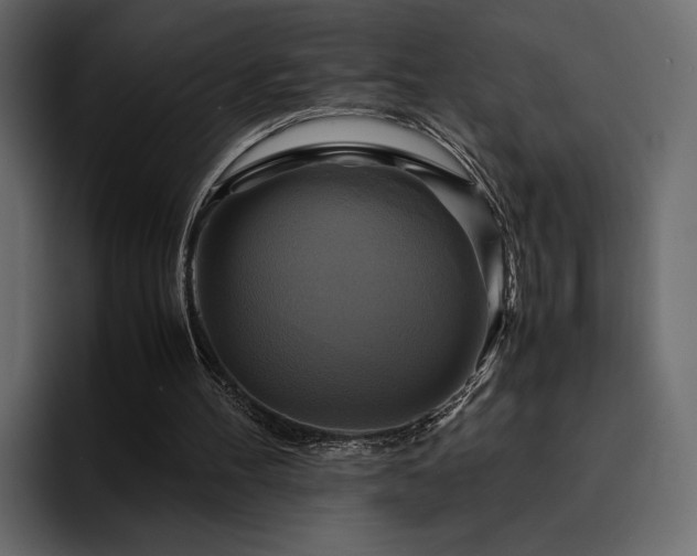 X0000095120100200712141144