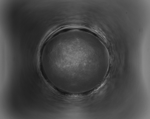 X0000095120101200712141144