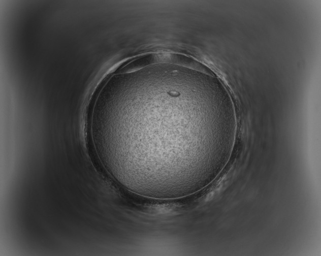 X0000095120103200712141144